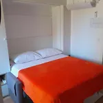 Maremy * 扎达尔