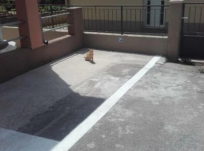 Apartmán Maremy Zadar